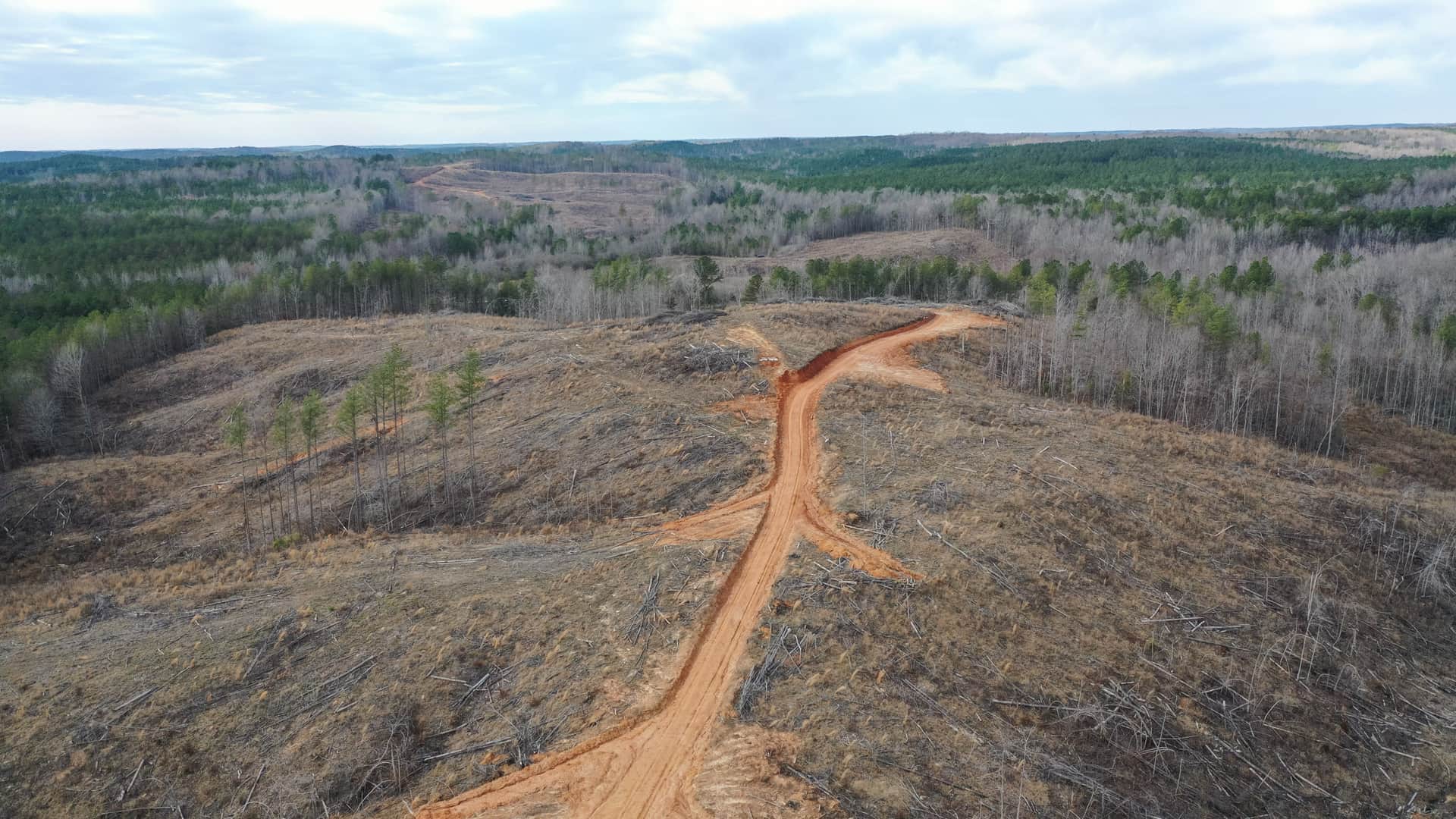 Fairview Hills in Lamar County, Alabama (photo 1 of 20)