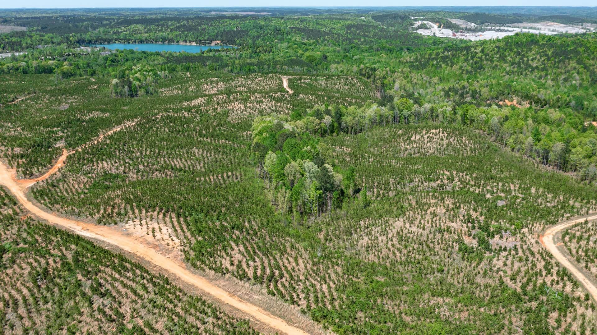 Clear Wood in Tishomingo County, Mississippi (photo 1 of 22)