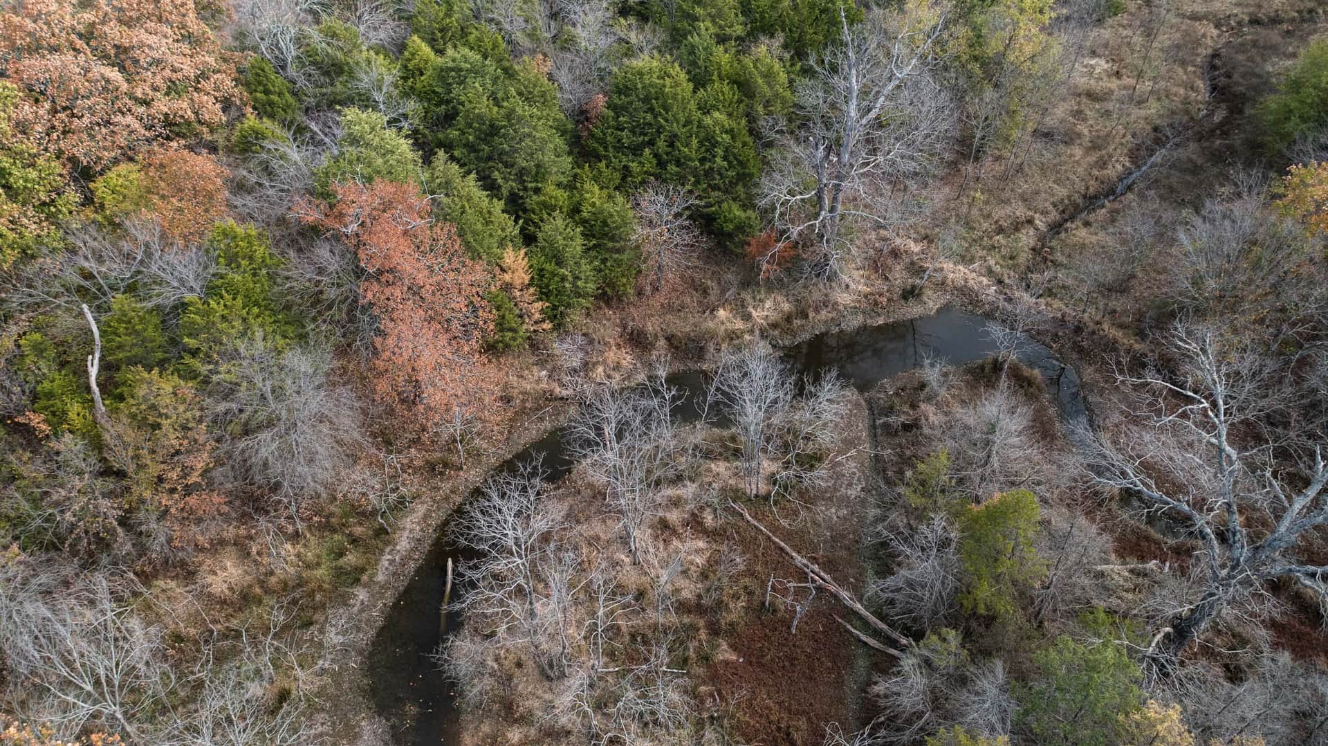 Crystal Springs, 5.93 to 7.54 acres in McIntosh County, Oklahoma (photo 1 of 16)
