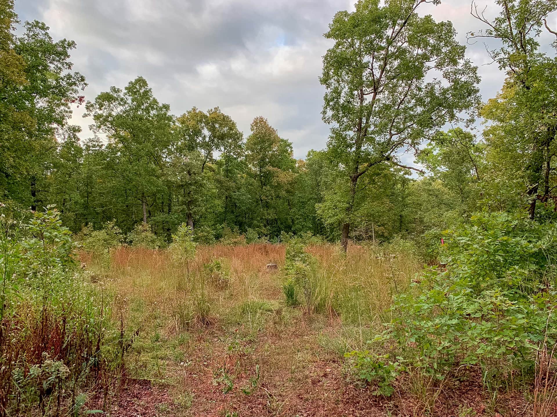 Wagon Wheel Ranch, 6.90 to 12.80 acres in Dent County, Missouri (photo 1 of 22)