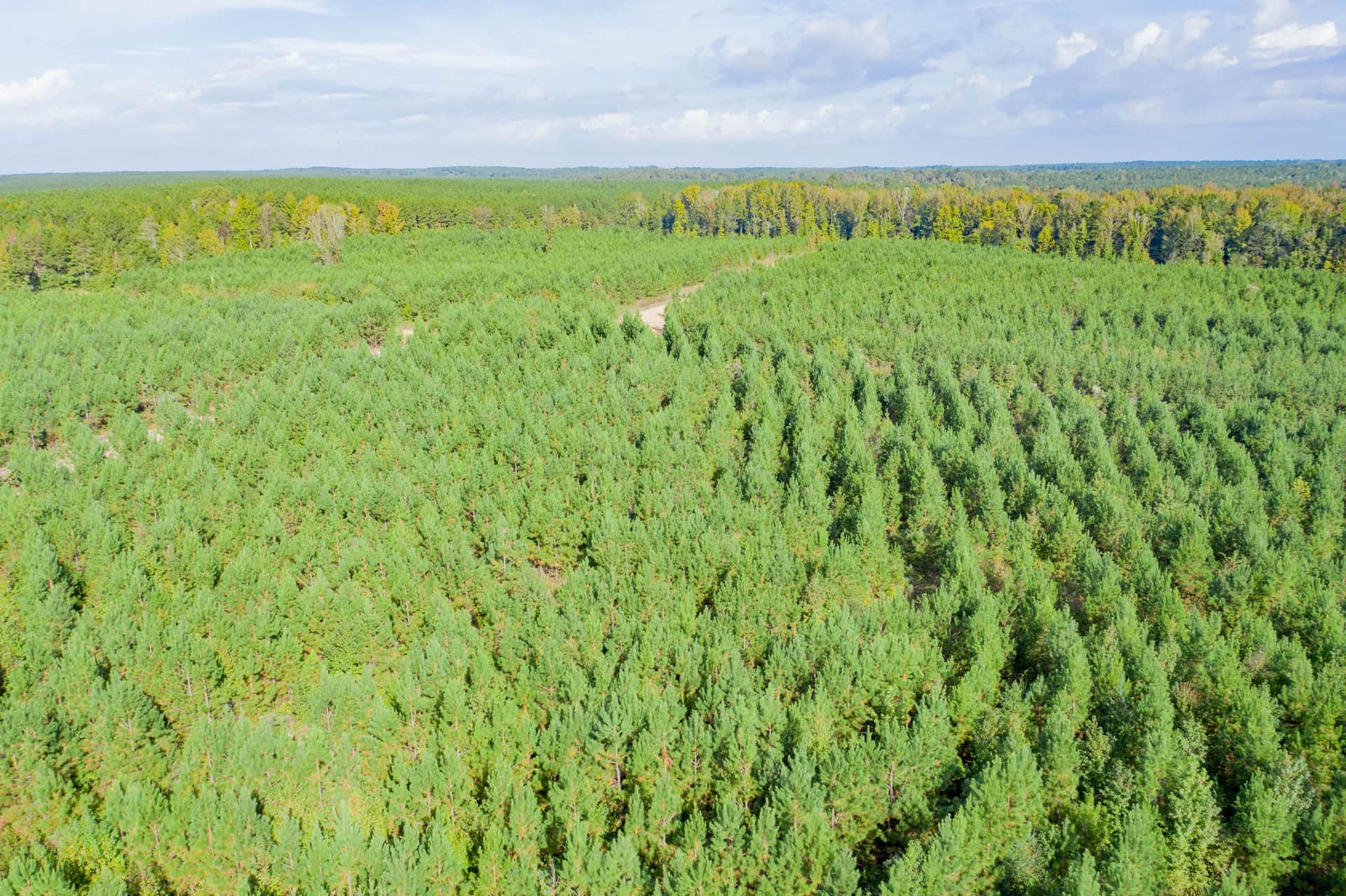 Sky Ranch, Tract 3, 2.33 acres in Attala County, Mississippi (photo 1 of 17)