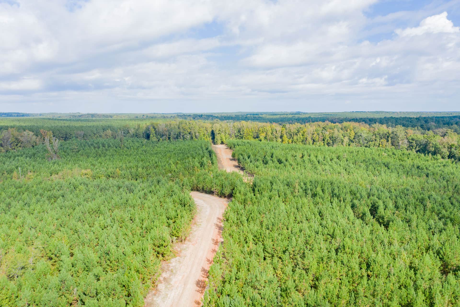 Sky Ranch, Tract 4, 2.68 acres in Attala County, Mississippi (photo 1 of 15)