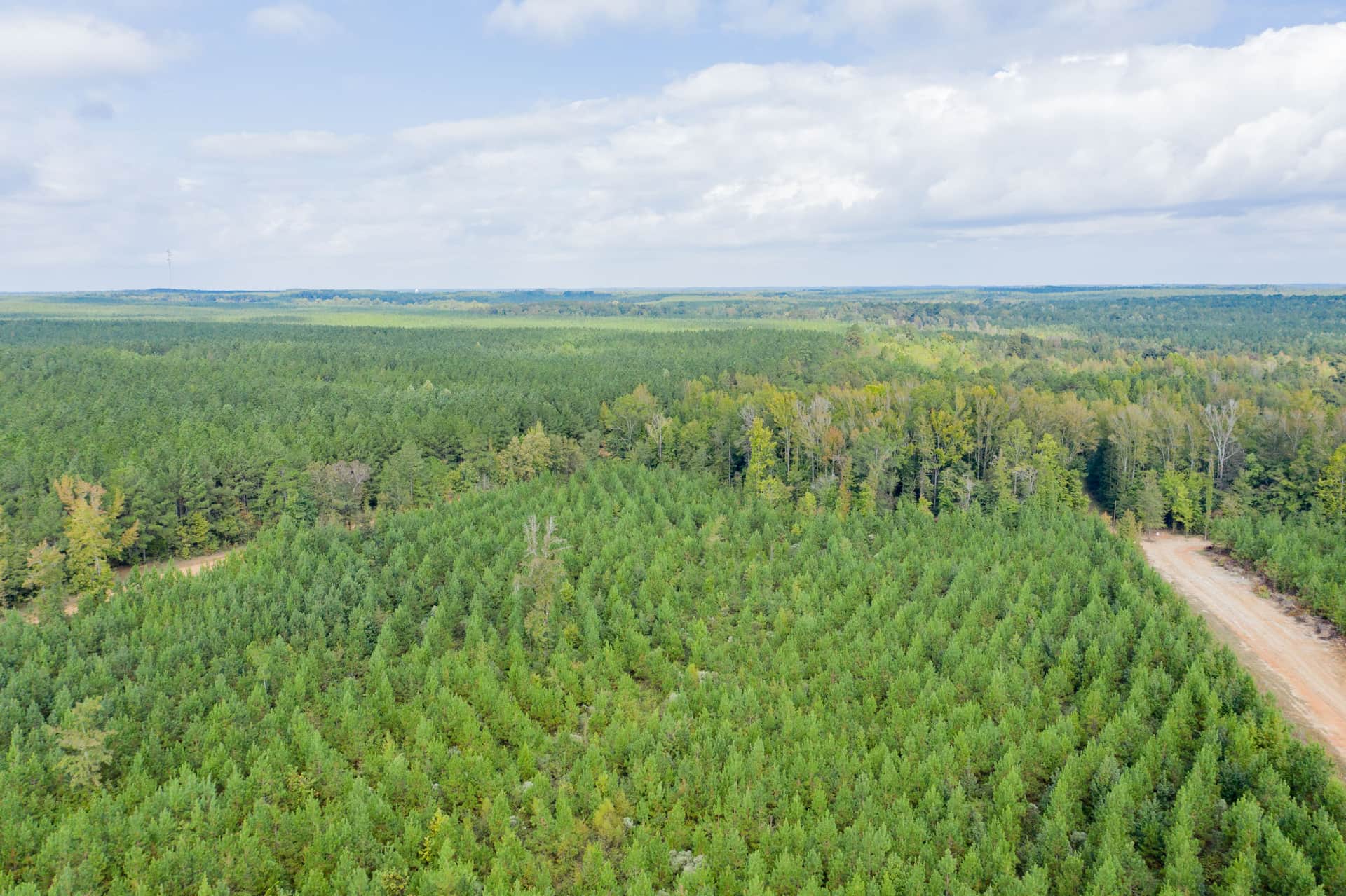 Sky Ranch, Tract 7, 3.06 acres in Attala County, Mississippi (photo 1 of 8)