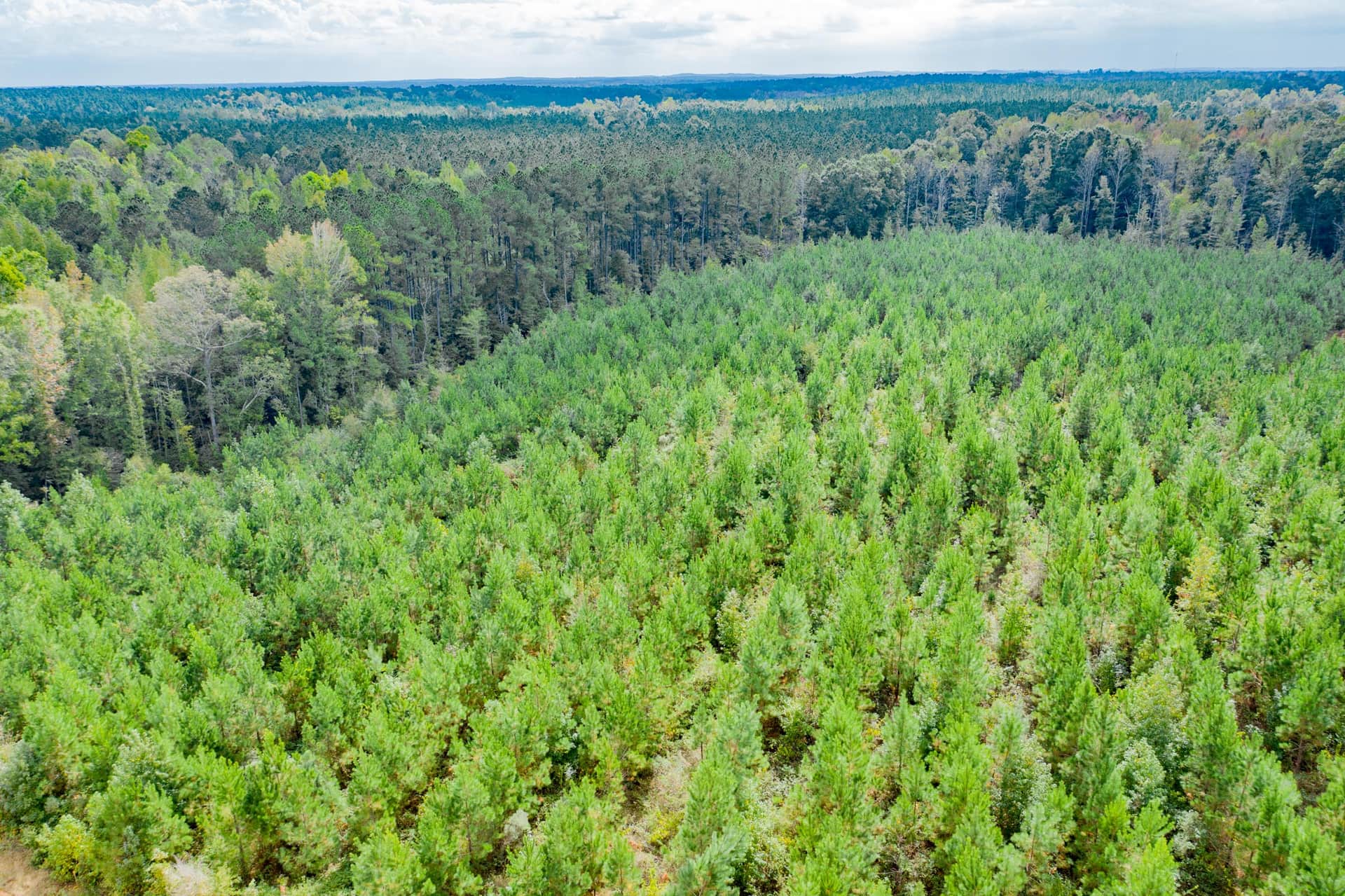 Sky Ranch, Tract 5, 2.50 acres in Attala County, Mississippi (photo 1 of 9)