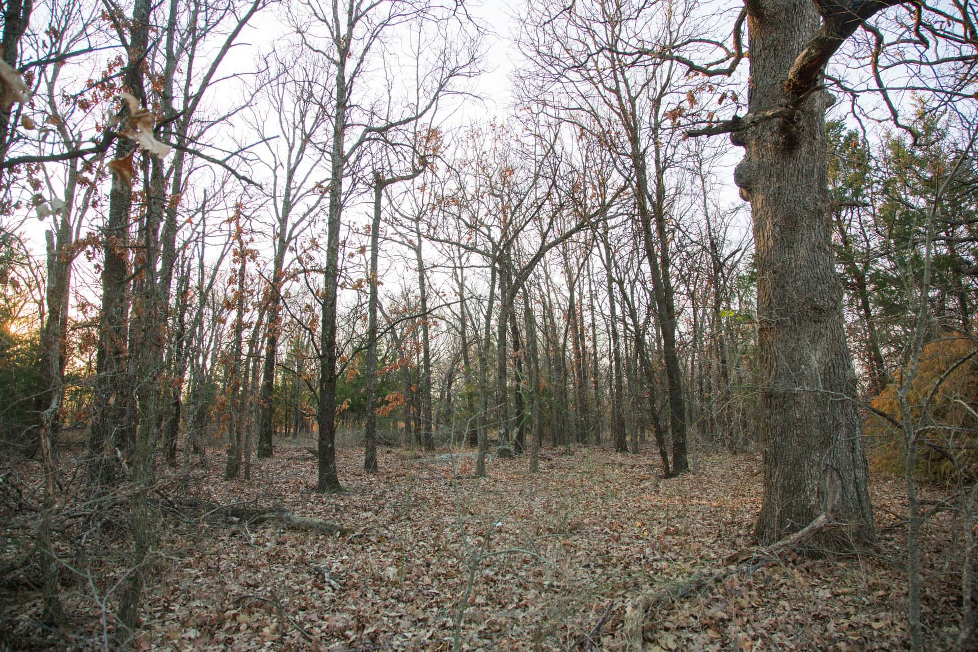 Eufaula Cove, 5.20 to 9.77 acres in Pittsburg County, Oklahoma (photo 1 of 27)
