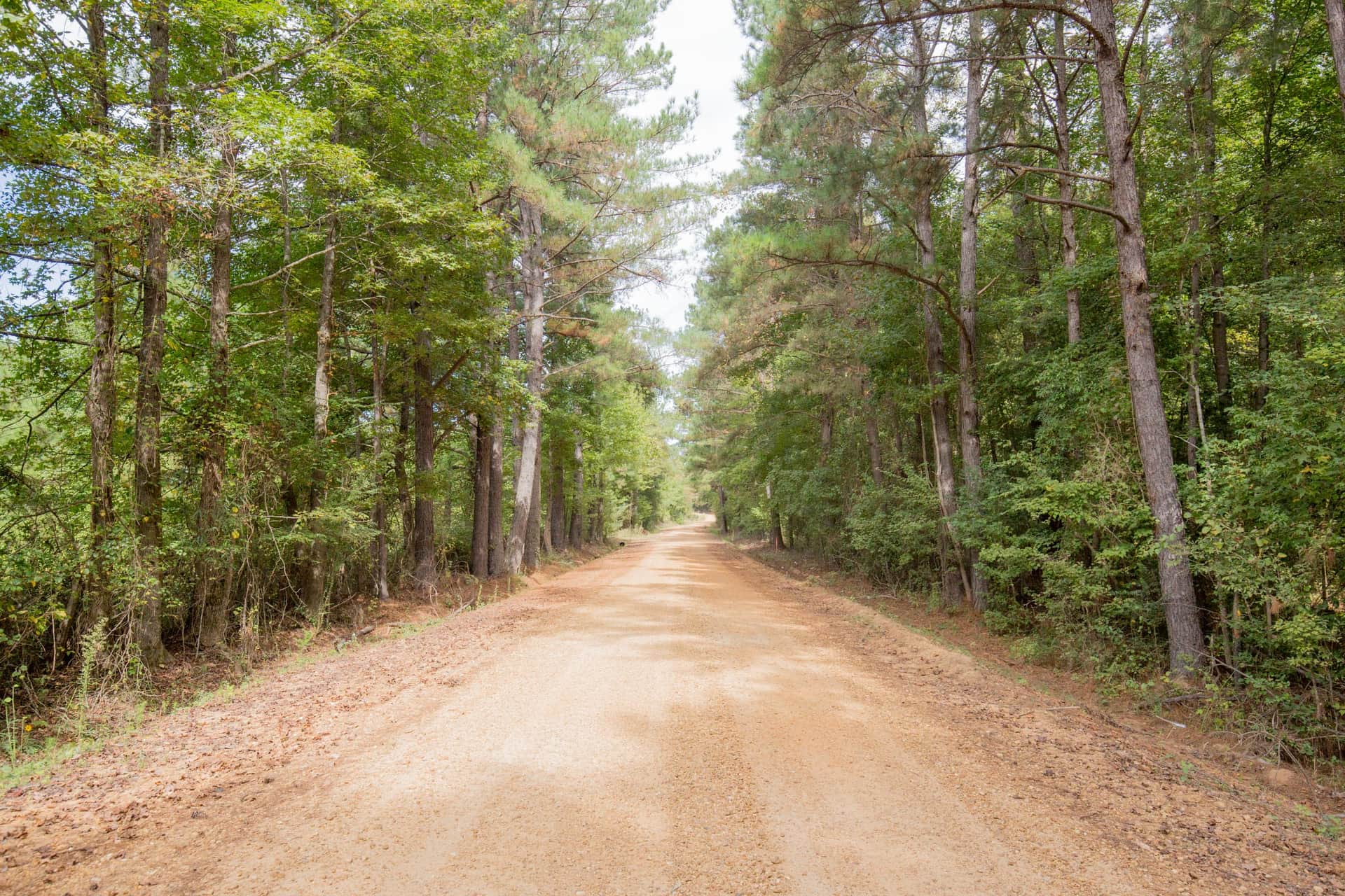 Sky Ranch, Tract 12, 2.50 acres in Attala County, Mississippi (photo 1 of 9)