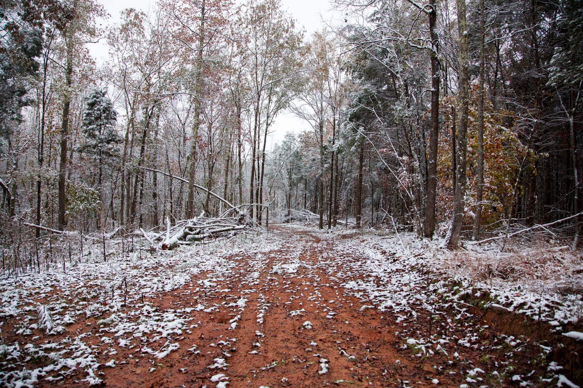 Sweet Water Ranch, 6.10 acres in Decatur County, Tennessee (photo 1 of 14)