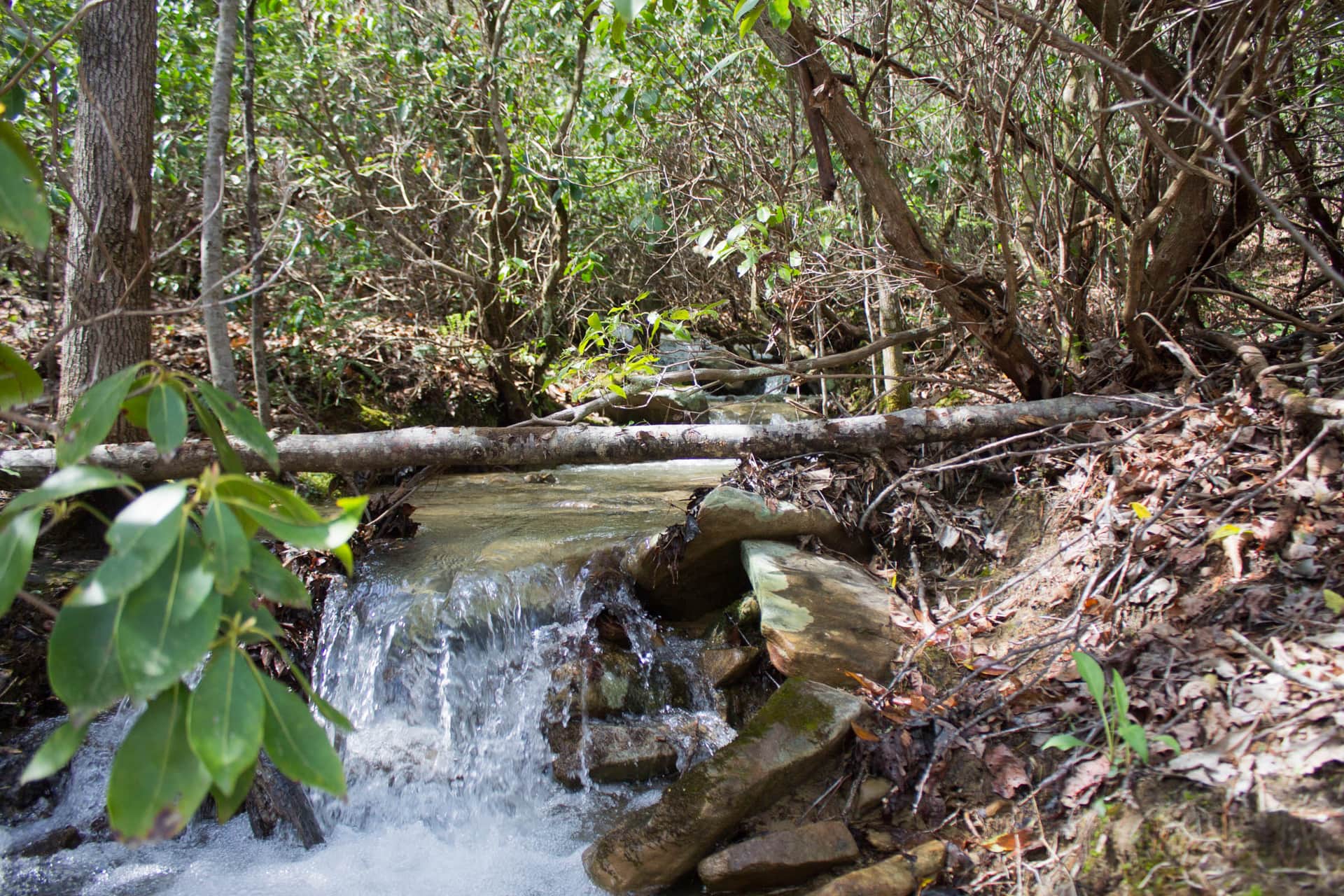Hidden Hills in Sequatchie County, Tennessee (photo 1 of 17)