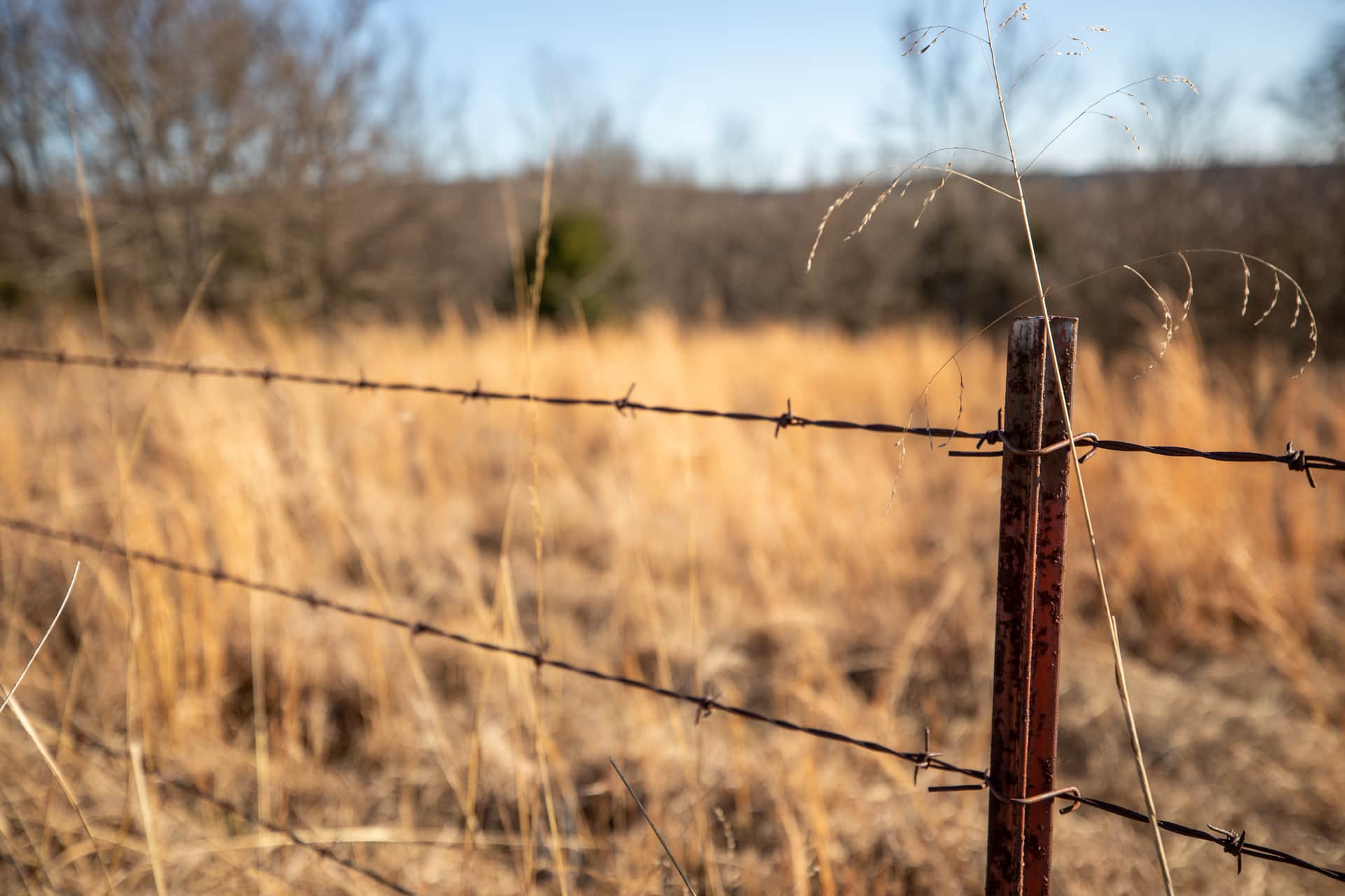 Painted Horse, 5.35 to 8.21 acres in Pittsburg County, Oklahoma (photo 1 of 18)