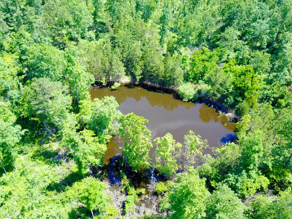 Timber Crossing in Douglas County, Missouri (photo 1 of 22)
