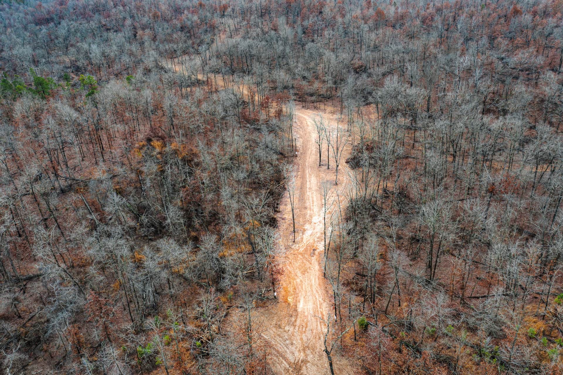 Carter’s Crossing in Cherokee County, Oklahoma (photo 1 of 18)