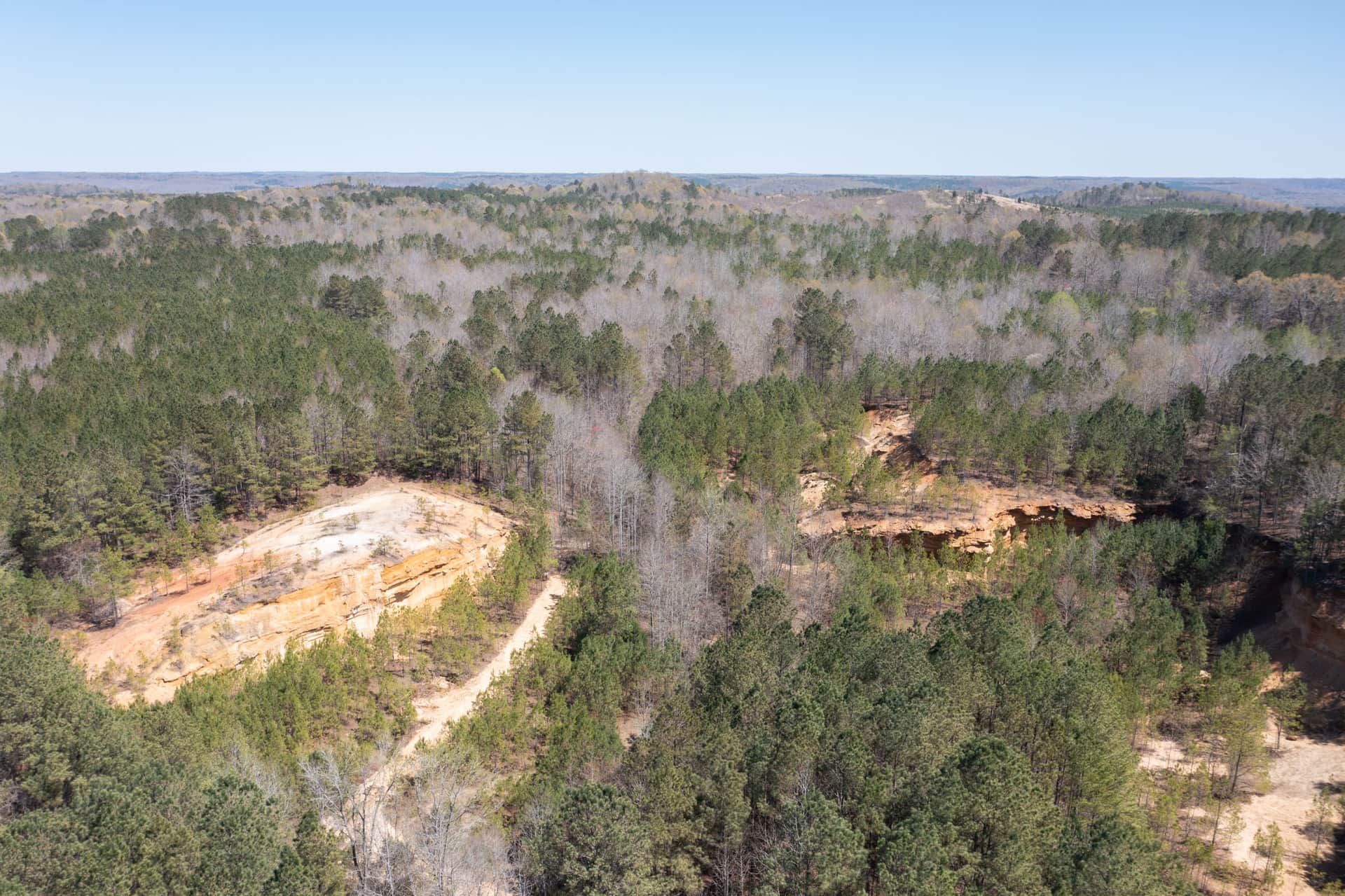 Southern Hills in Tishomingo County, Mississippi (photo 1 of 24)