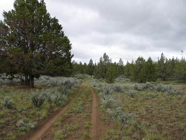 Modoc County in Modoc County, California (photo 1 of 13)