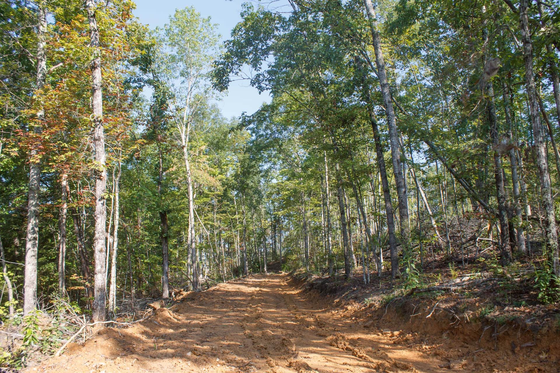 Wounded Oak, 5.14 acres in Rockcastle County, Kentucky (photo 1 of 14)