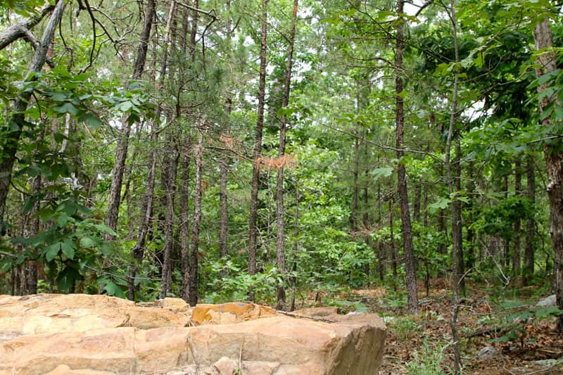 Trophy Ridge, Phase 3, 5.58 to 9.59 acres in Pushmataha County, Oklahoma (photo 1 of 8)