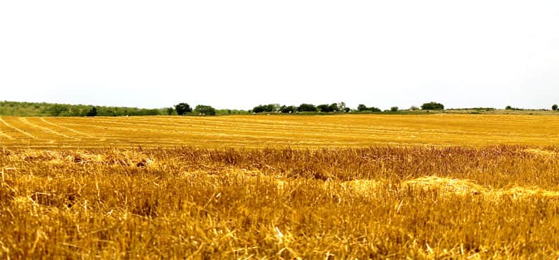 Meadowview Estates in Hill County, Texas (photo 1 of 8)