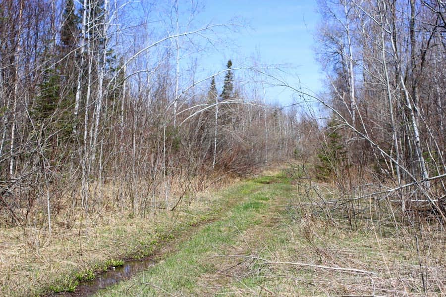 Abby Point in Baraga County, Michigan (photo 1 of 15)