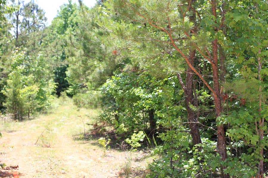 Hickory Hill Ranch, 6.00 acres in Decatur County, Tennessee (photo 1 of 15)