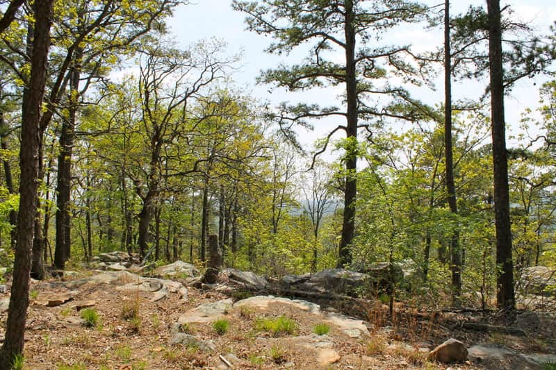 Kiamichi Wilderness in Pushmataha County, Oklahoma (photo 1 of 10)