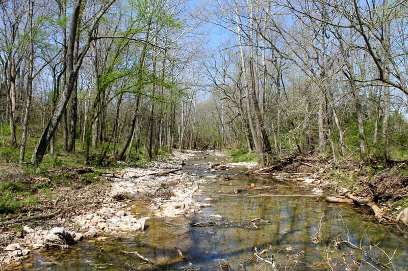 Rocky shallow stream among sparsely leafed trees at Cedar Ridge Ranch, Phelps County, Missouri