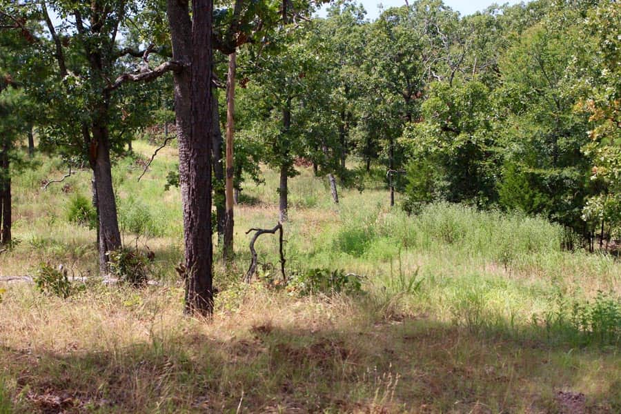Lakeview Private Reserve, 5.54 to 5.84 acres in Pushmataha County, Oklahoma (photo 1 of 20)