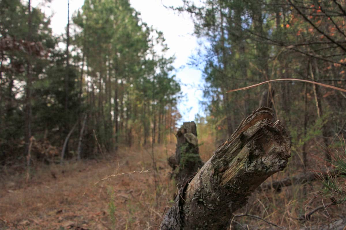 Stone Creek, Phase 3, 8.52 to 13.57 acres in Latimer County, Oklahoma (photo 1 of 32)