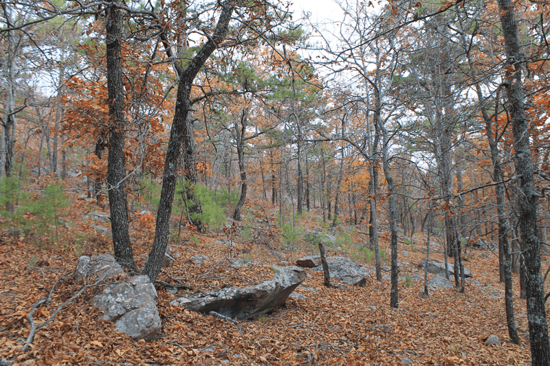 Indian Ridge, Phase 1, 15.65 acres in Pittsburg County, Oklahoma (photo 1 of 16)