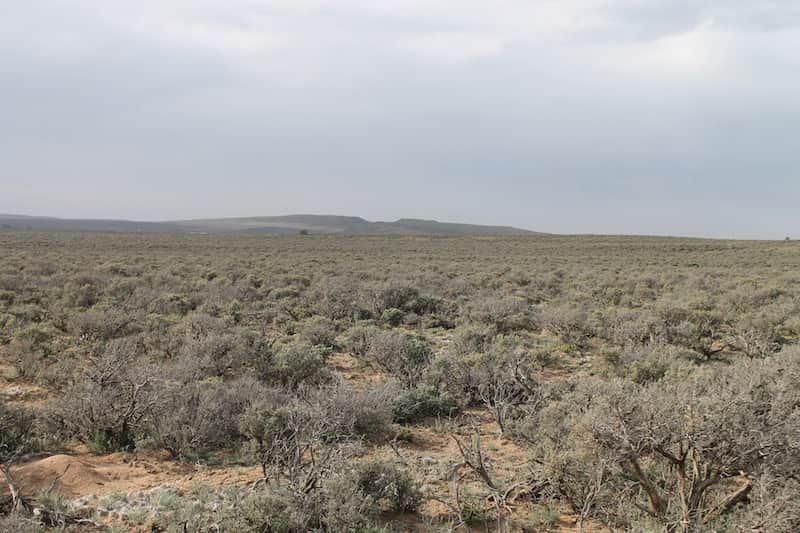 Rio Grande Ranchos in Costilla County, Colorado (photo 1 of 12)