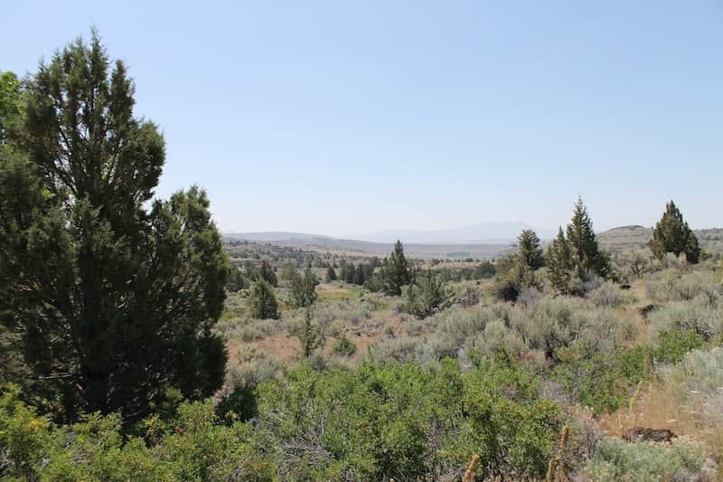 Moon Valley Ranch, 20.10 to 21.00 acres in Lassen County, California (photo 1 of 12)