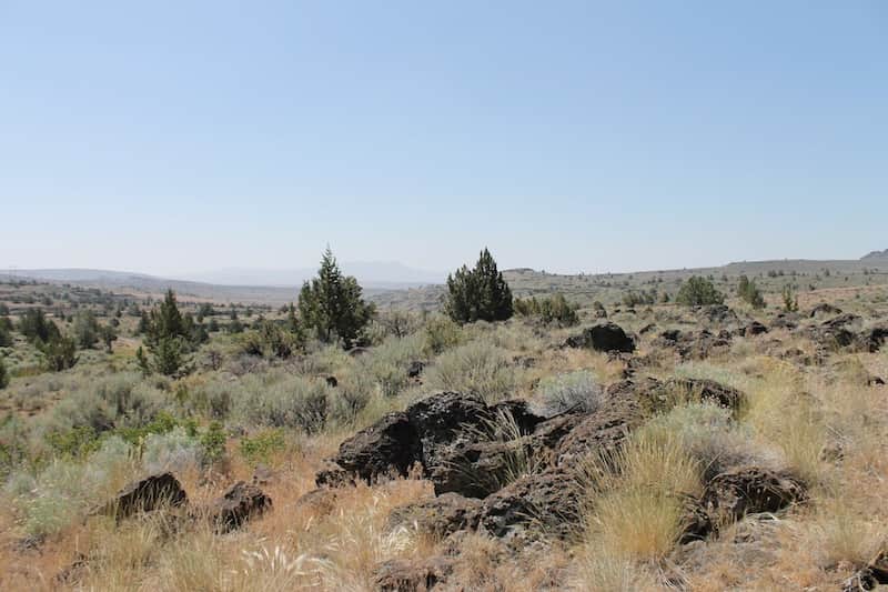 Ravendale Ranch in Lassen County, California (photo 1 of 12)