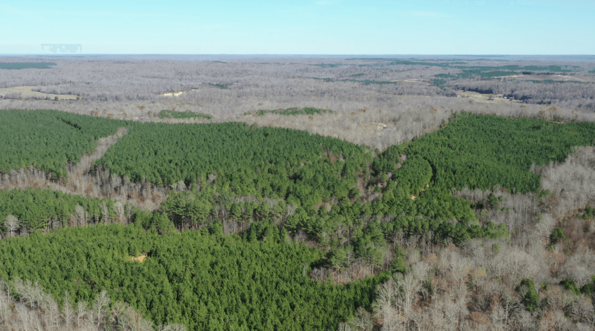 Pine Ridge in Decatur County, Tennessee (photo 1 of 18)