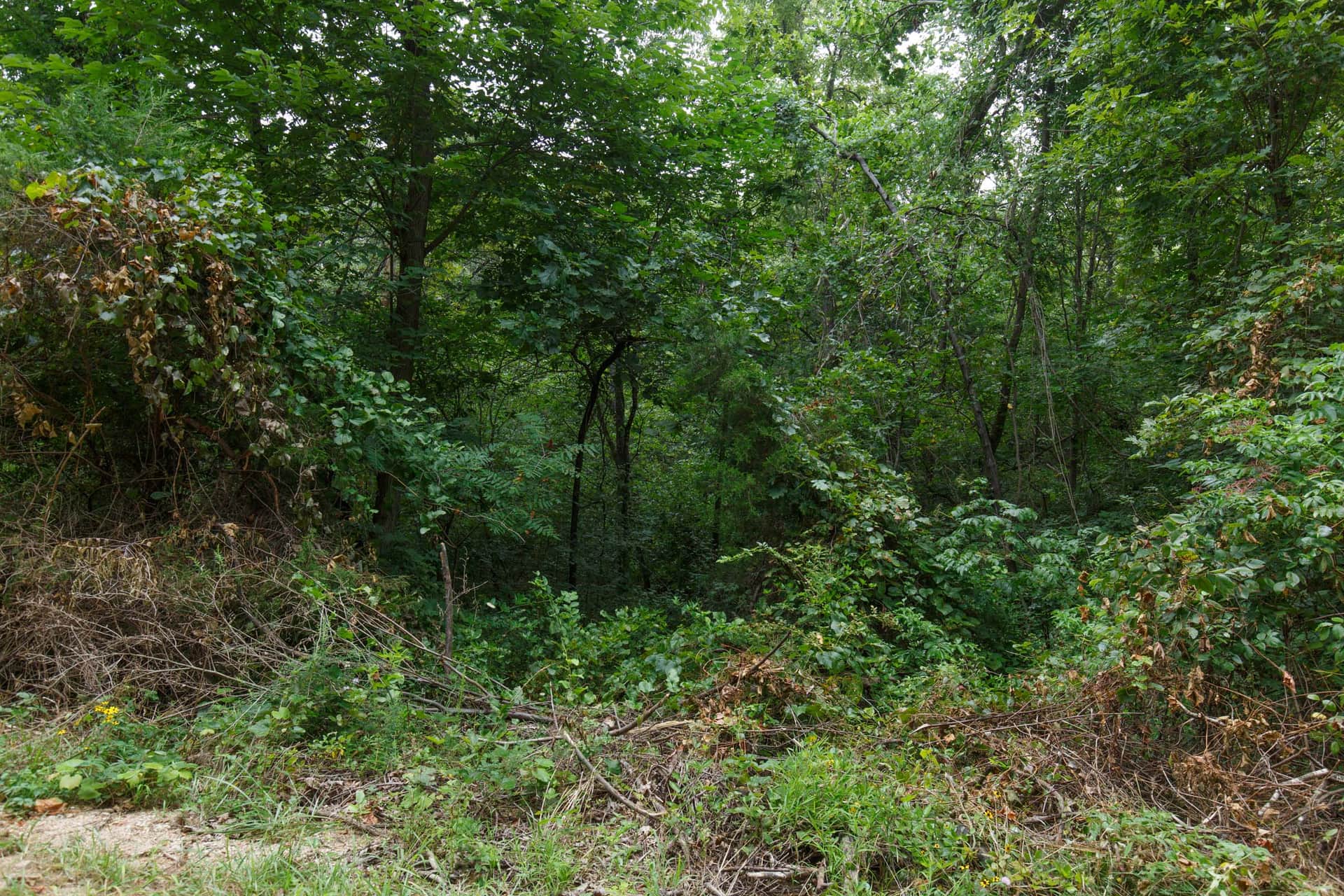 Spring Lake, Plat 4, Tract 128, 0.25 acres in Miller County, Missouri (photo 1 of 7)