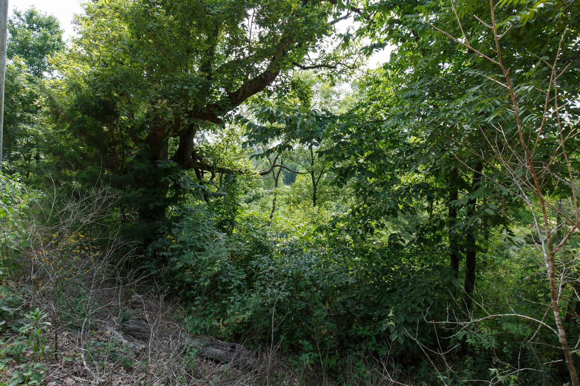 Spring Lake, Plat 6, Tract 123, 0.20 acres in Miller County, Missouri (photo 1 of 7)