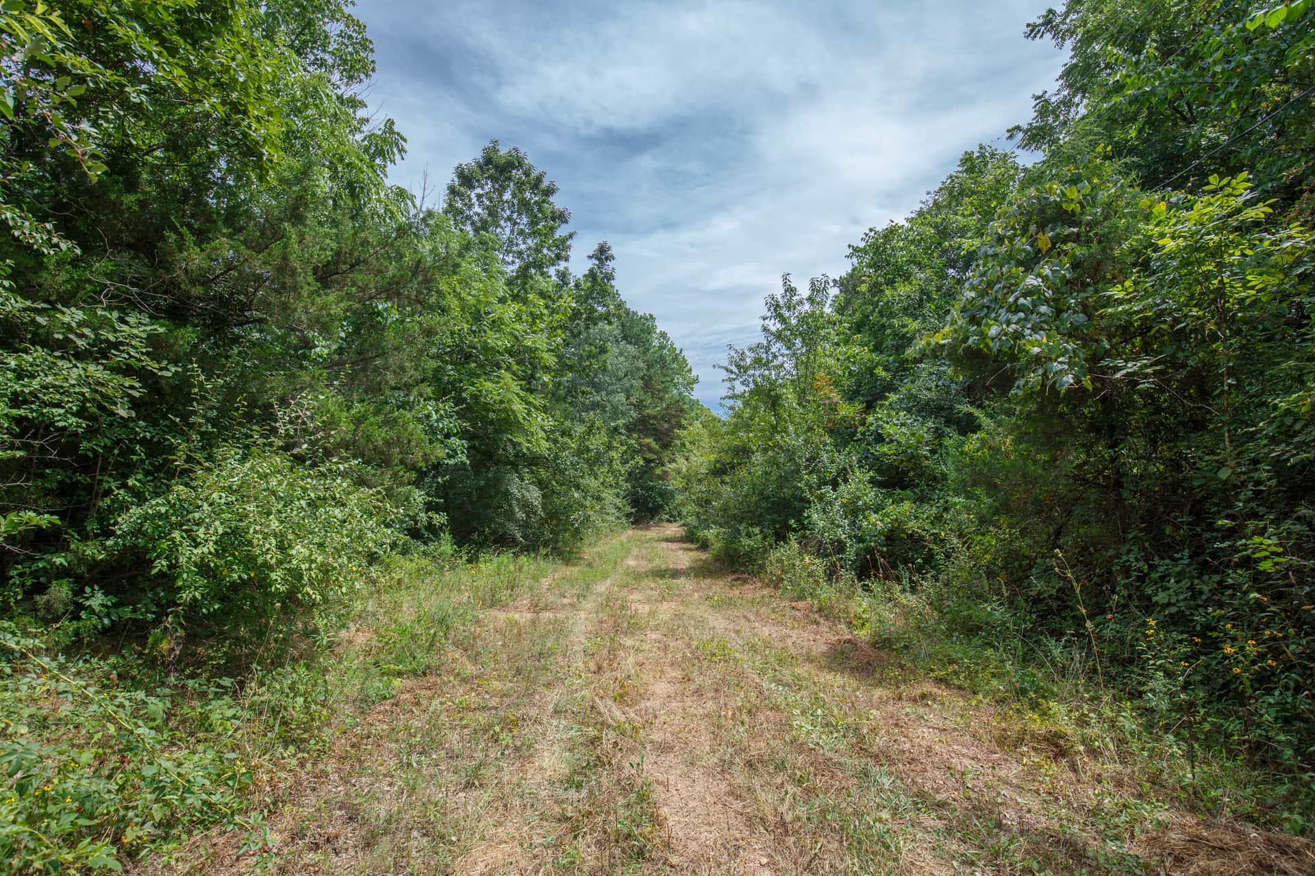 Spring Lake, Plat 1, Tract 25, 0.20 acres in Miller County, Missouri (photo 1 of 7)