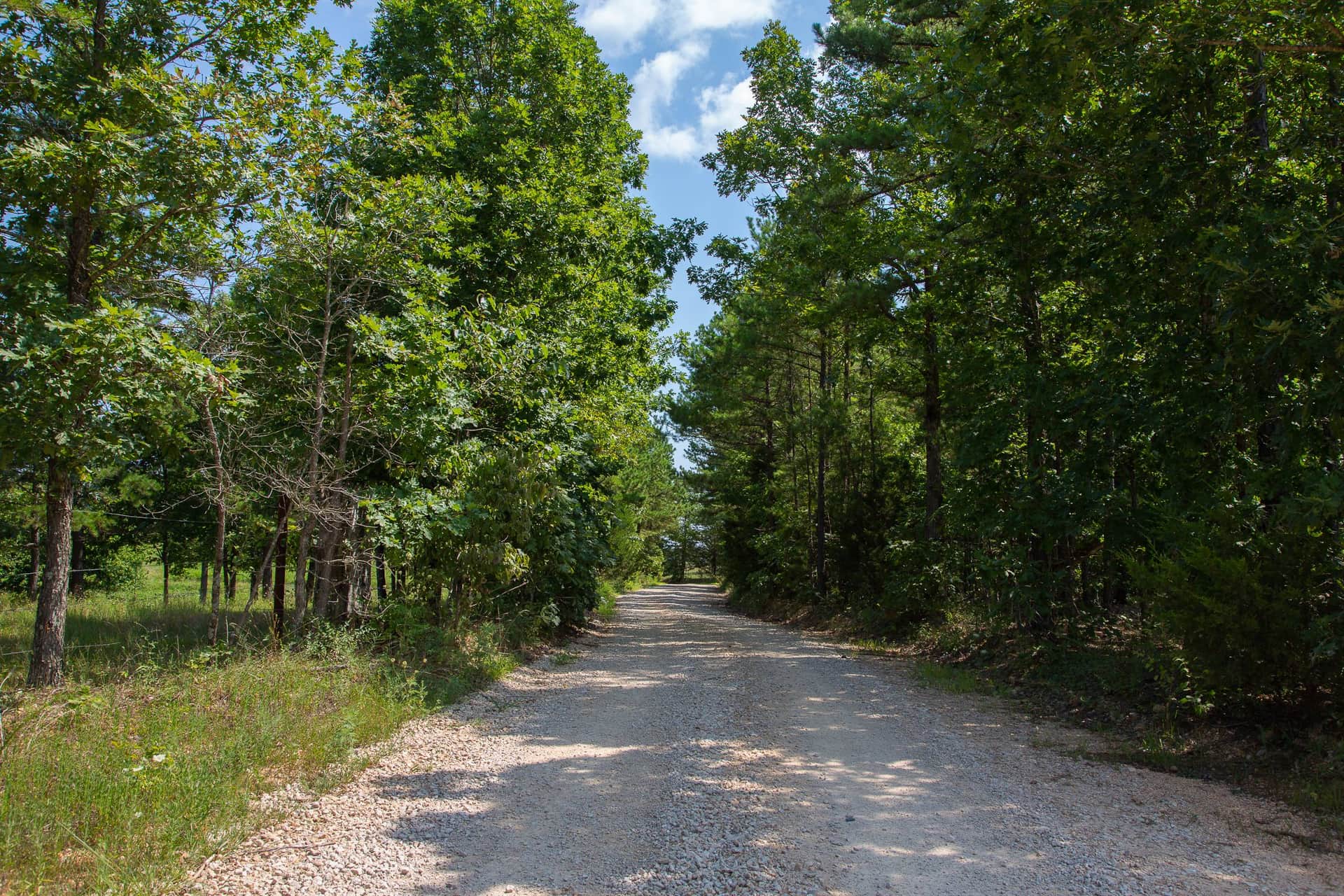 Borgmann’s Hollow, Phase 1 in Shannon County, Missouri (photo 1 of 20)