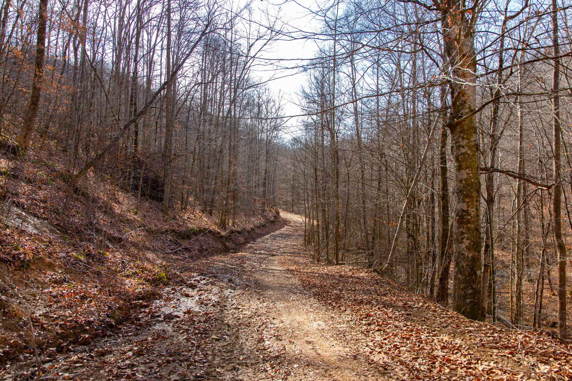 Blackstone Mountain, Phase 2, 10.23 to 34.95 acres in Clay County, Kentucky (photo 1 of 12)