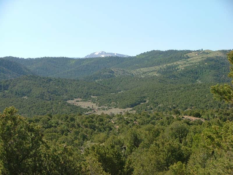 Eagle Ridge Ranch in Costilla County, Colorado (photo 1 of 12)