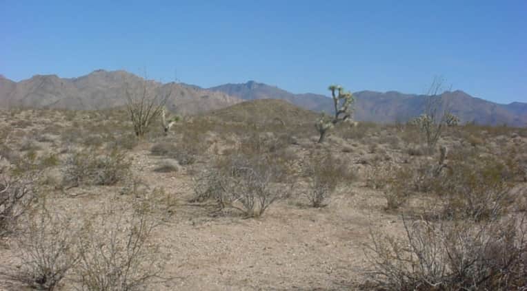 Mohave County in Mohave County, Arizona