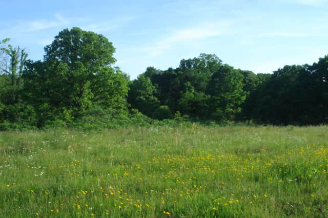 Silver Moon Ranch in Okfuskee County, Oklahoma (photo 1 of 13)
