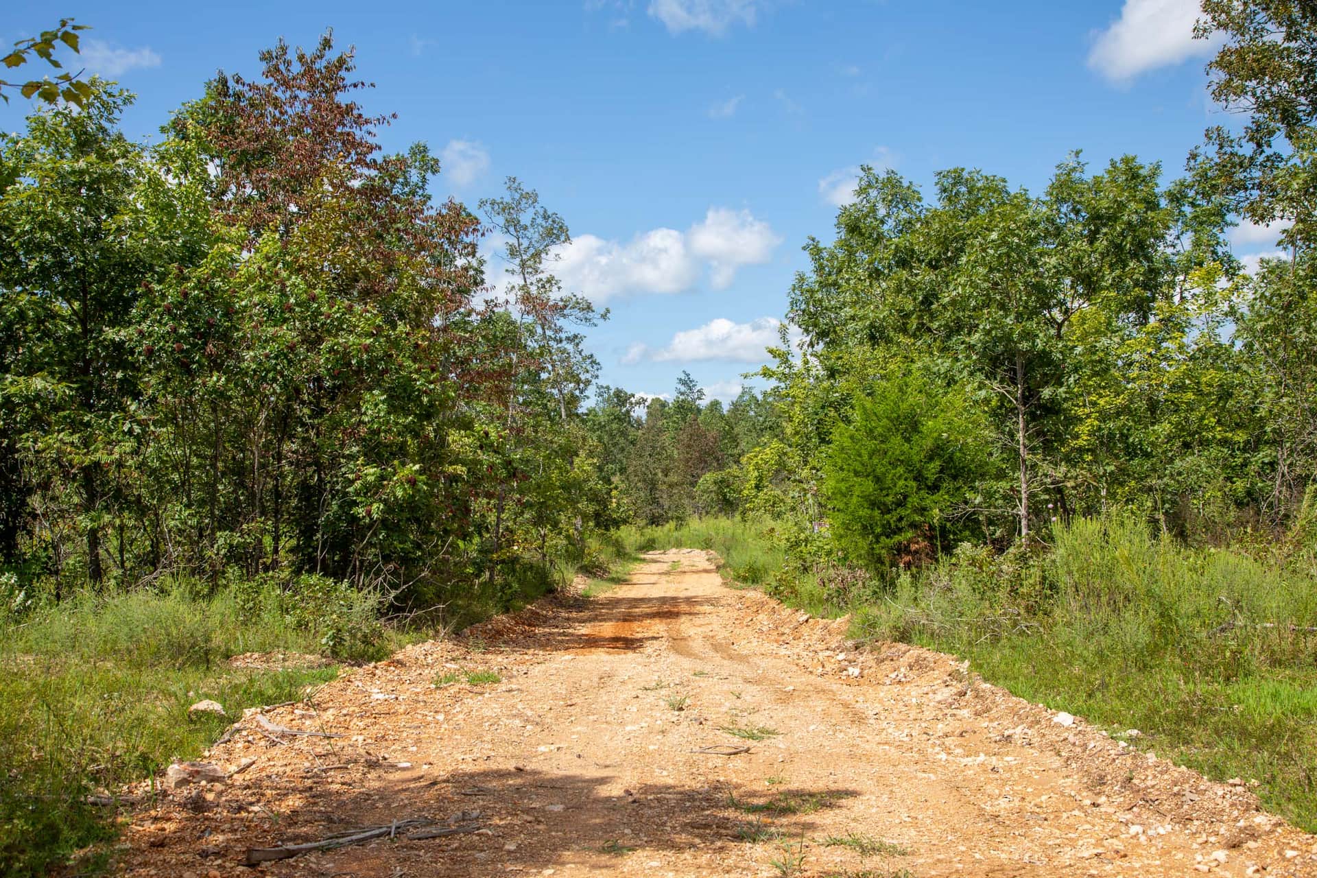 Borgmann's Hollow, Phase 3, Tract 79, 11.75 acres in Shannon County, Missouri (photo 1 of 12)