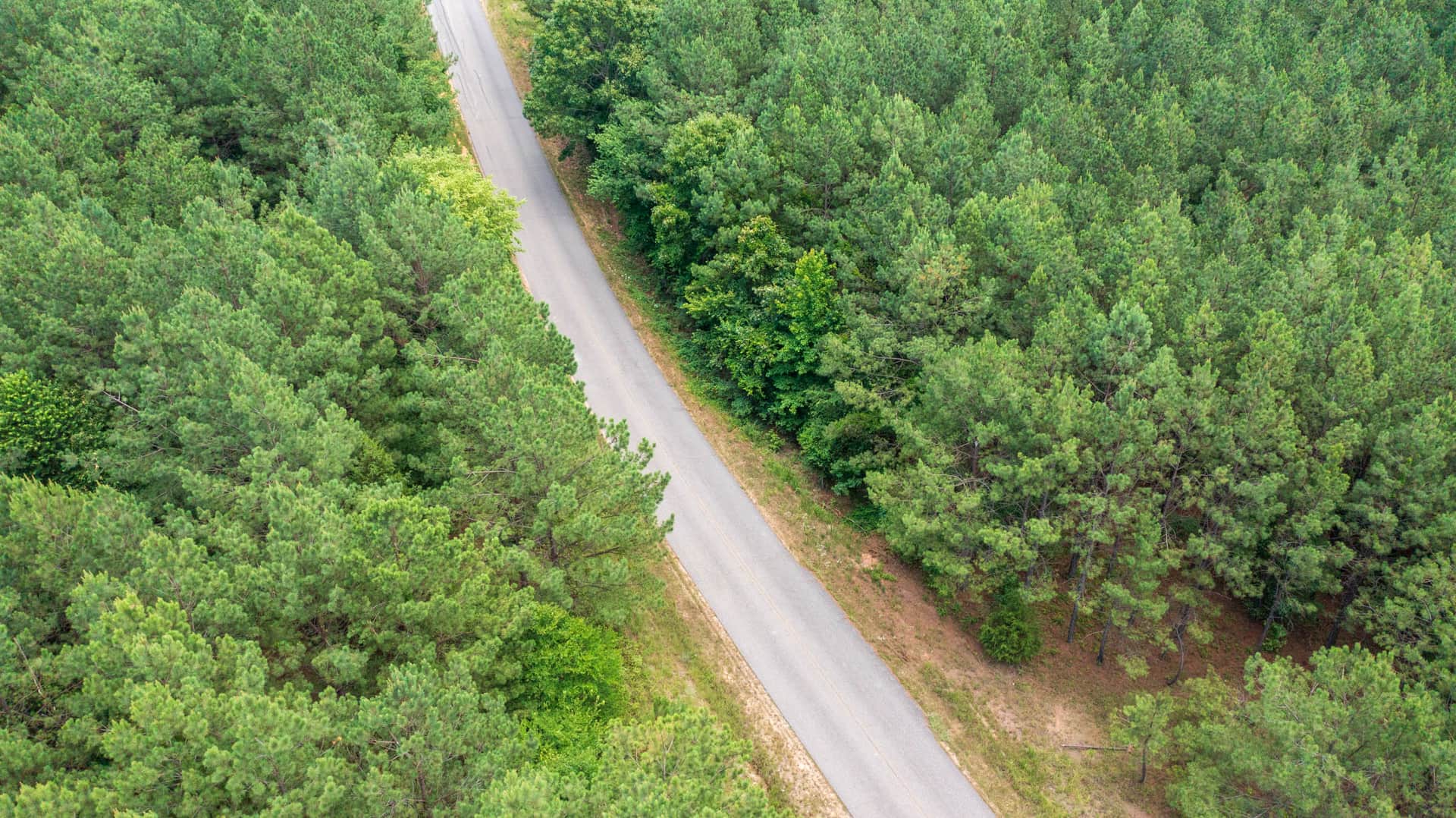 Whiskey Ridge, 6.63 to 17.07 acres in Henderson County, Tennessee (photo 1 of 16)