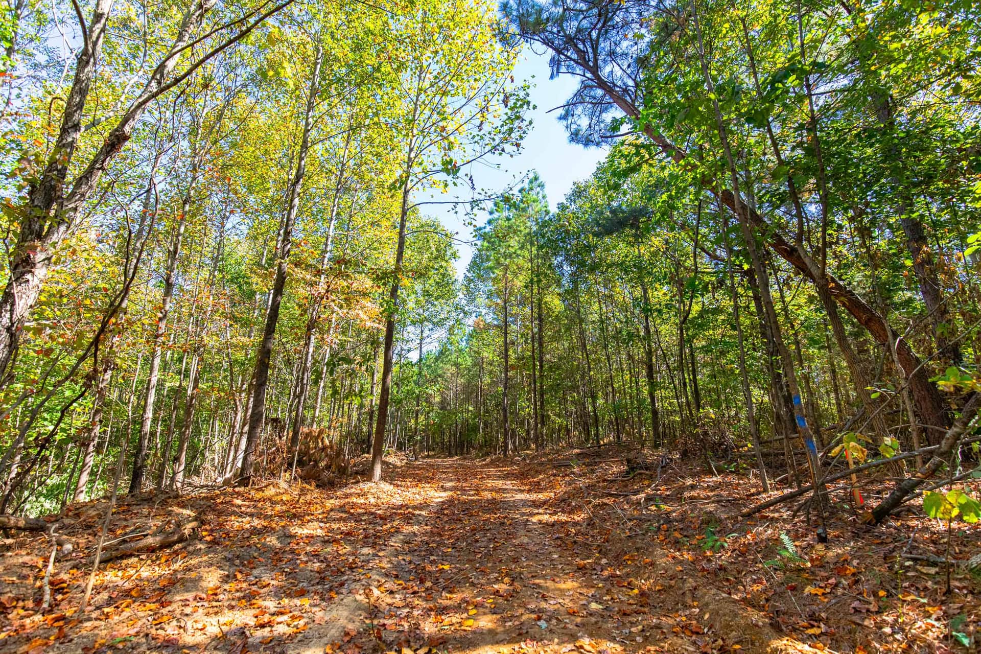Bear Brook, 9.21 acres in Perry County, Tennessee (photo 1 of 18)