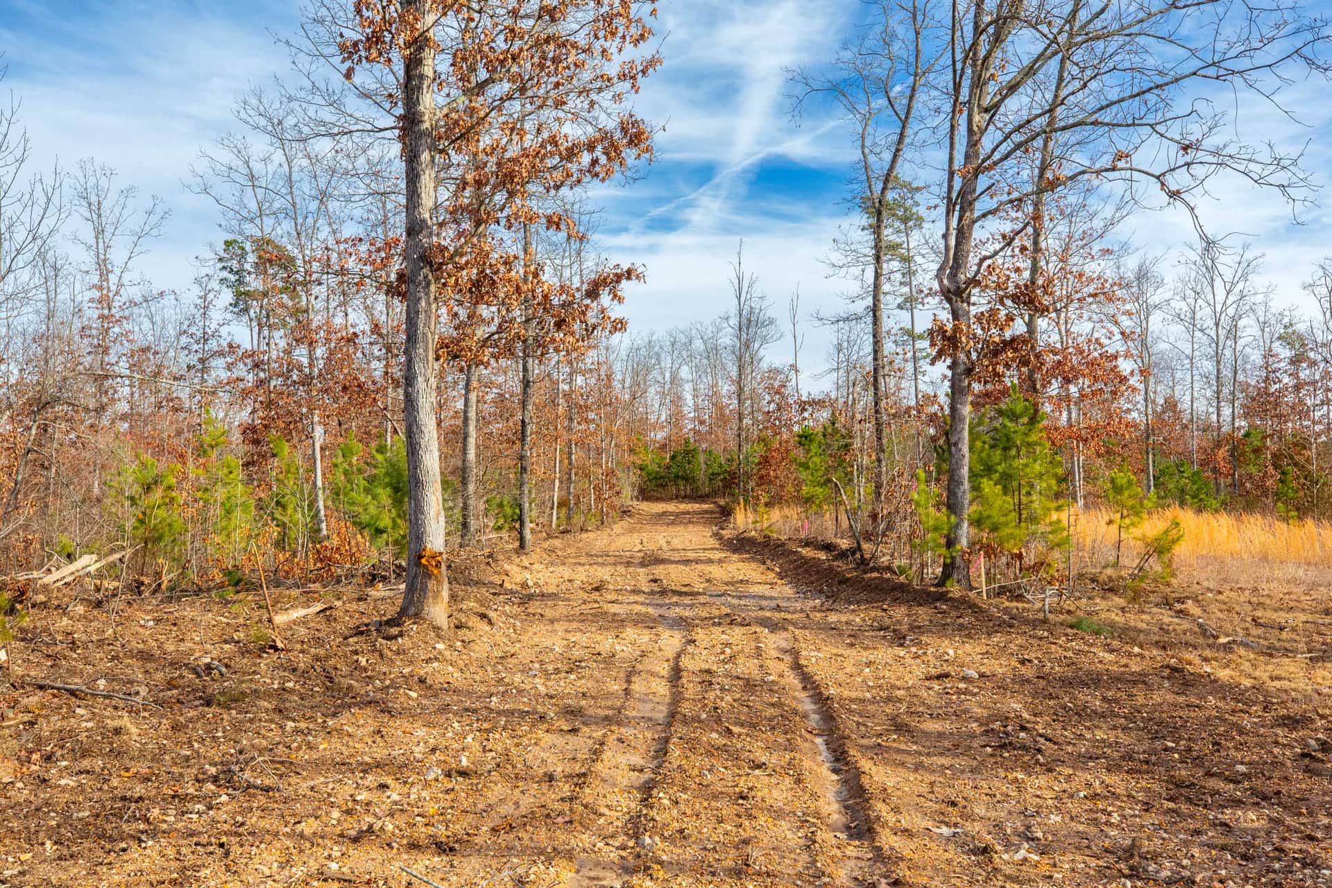 Windy Ridge, 5.94 to 7.27 acres in Texas County, Missouri (photo 1 of 16)