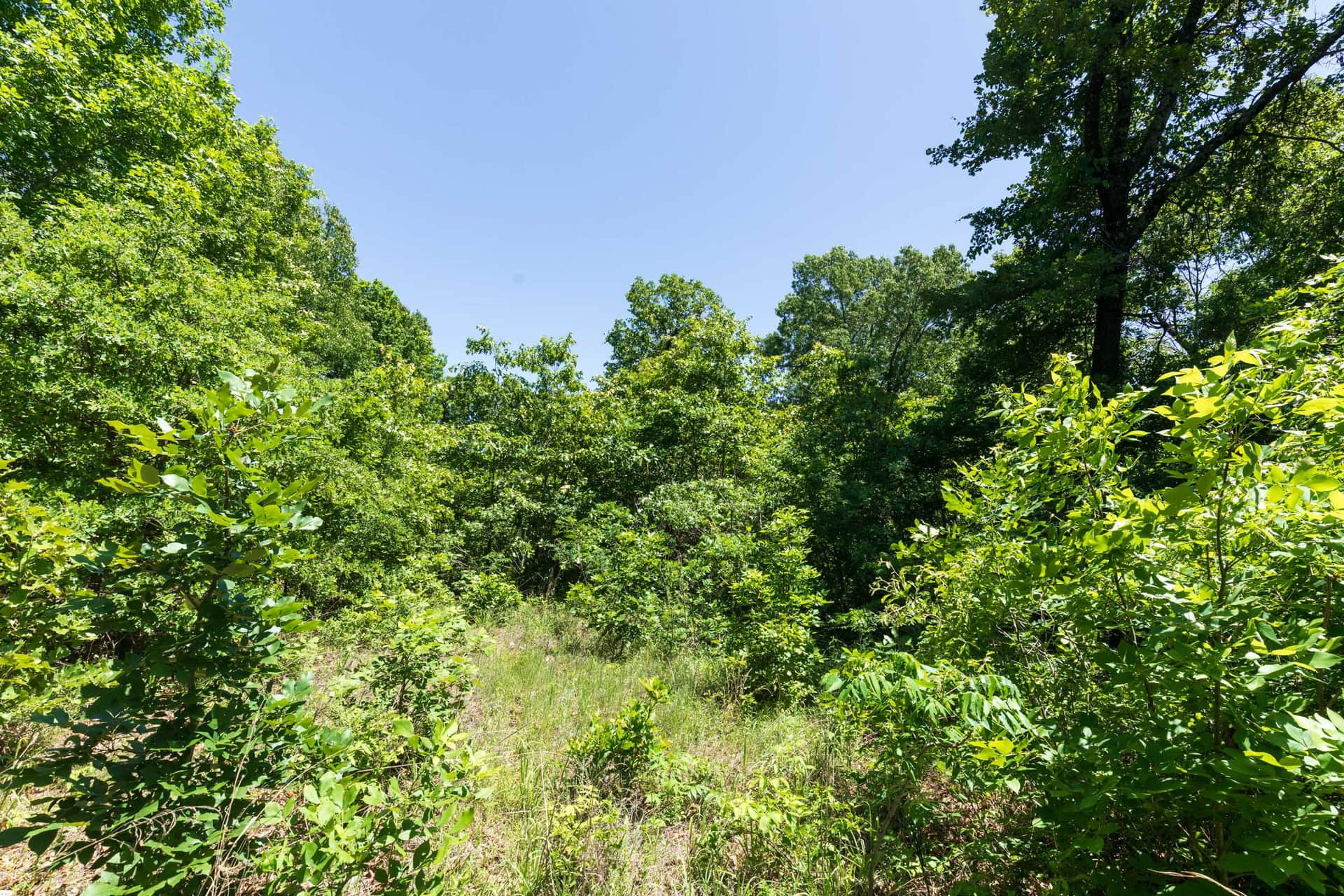 Starfield Acres, Tract 3, 5.18 acres in Lincoln County, Oklahoma (photo 1 of 16)