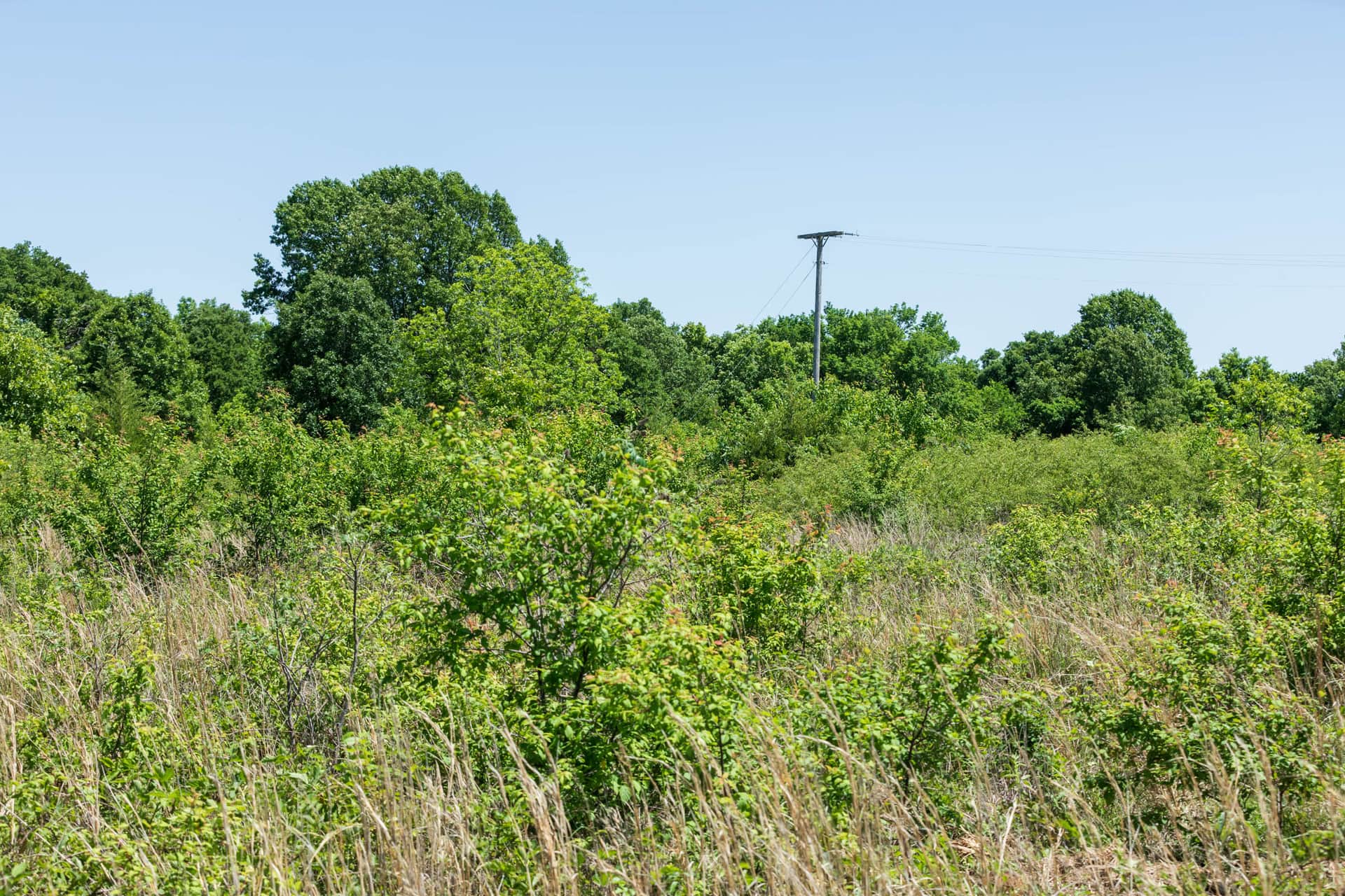 Starfield Acres, Tract 6, 6.29 acres in Lincoln County, Oklahoma (photo 1 of 23)