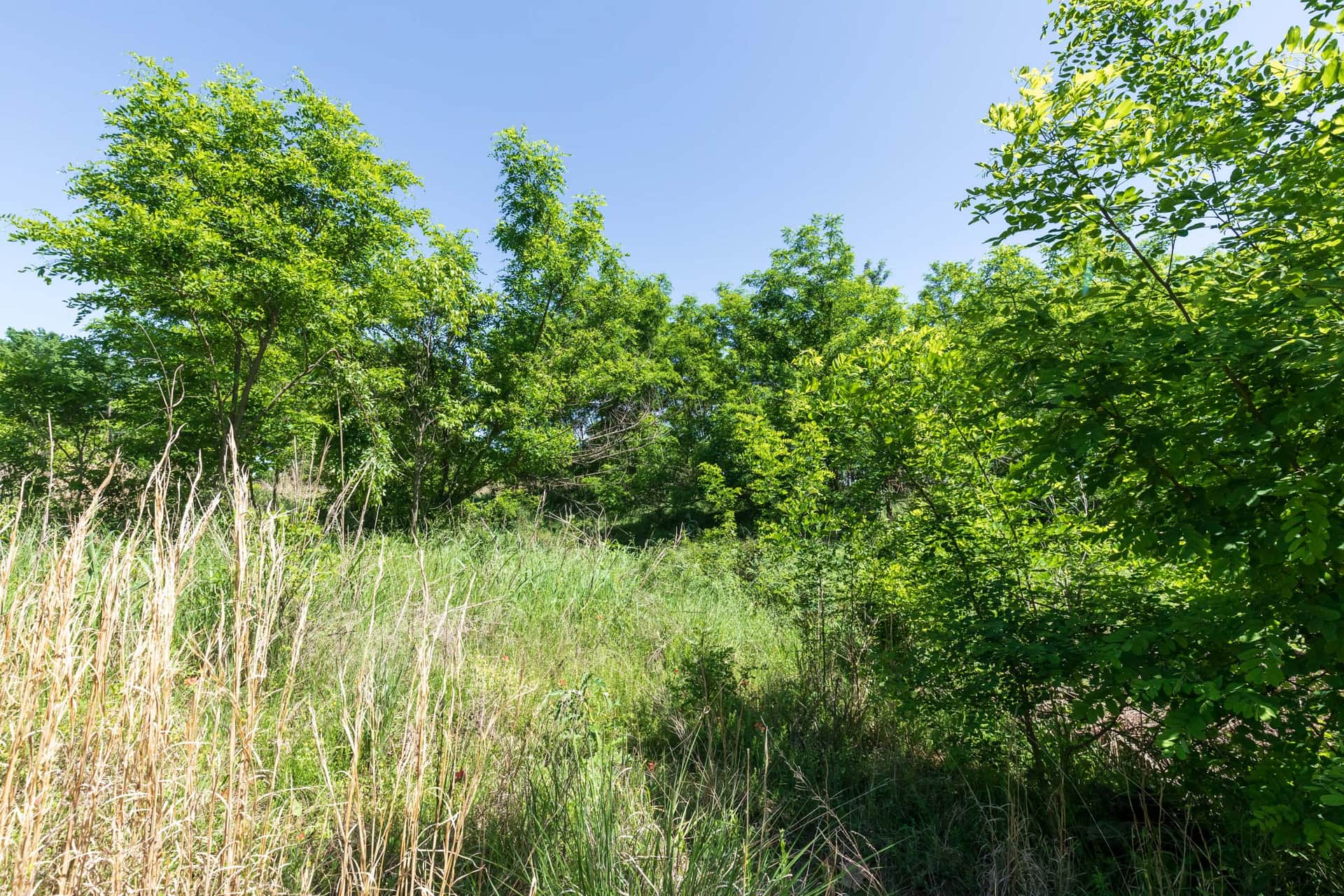 Starfield Acres, Tract 8, 5.26 acres in Lincoln County, Oklahoma (photo 1 of 17)