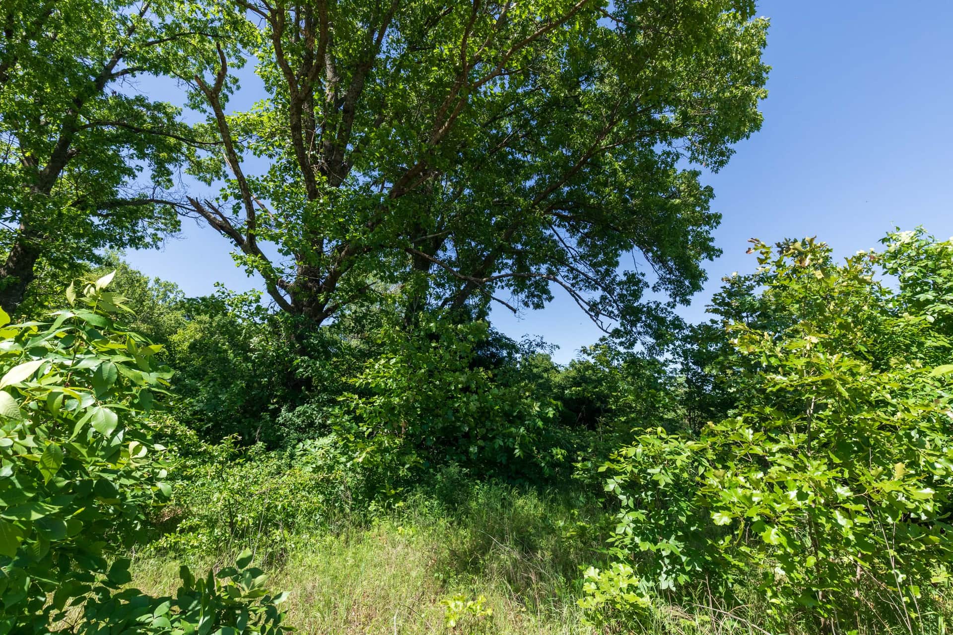Starfield Acres, Tract 9, 5.26 acres in Lincoln County, Oklahoma (photo 1 of 16)
