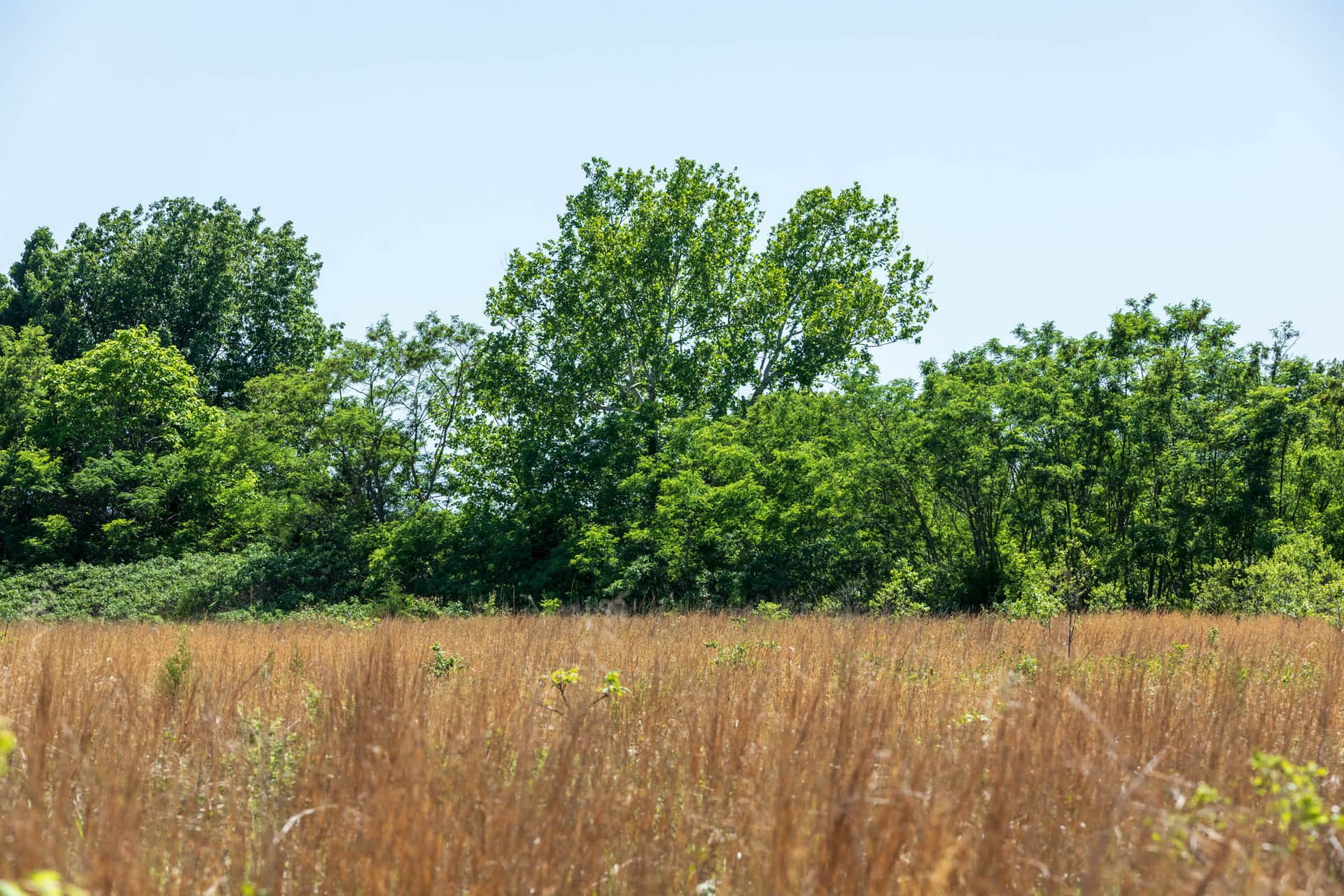 Starfield Acres, Tract 10, 6.10 acres in Lincoln County, Oklahoma (photo 1 of 9)