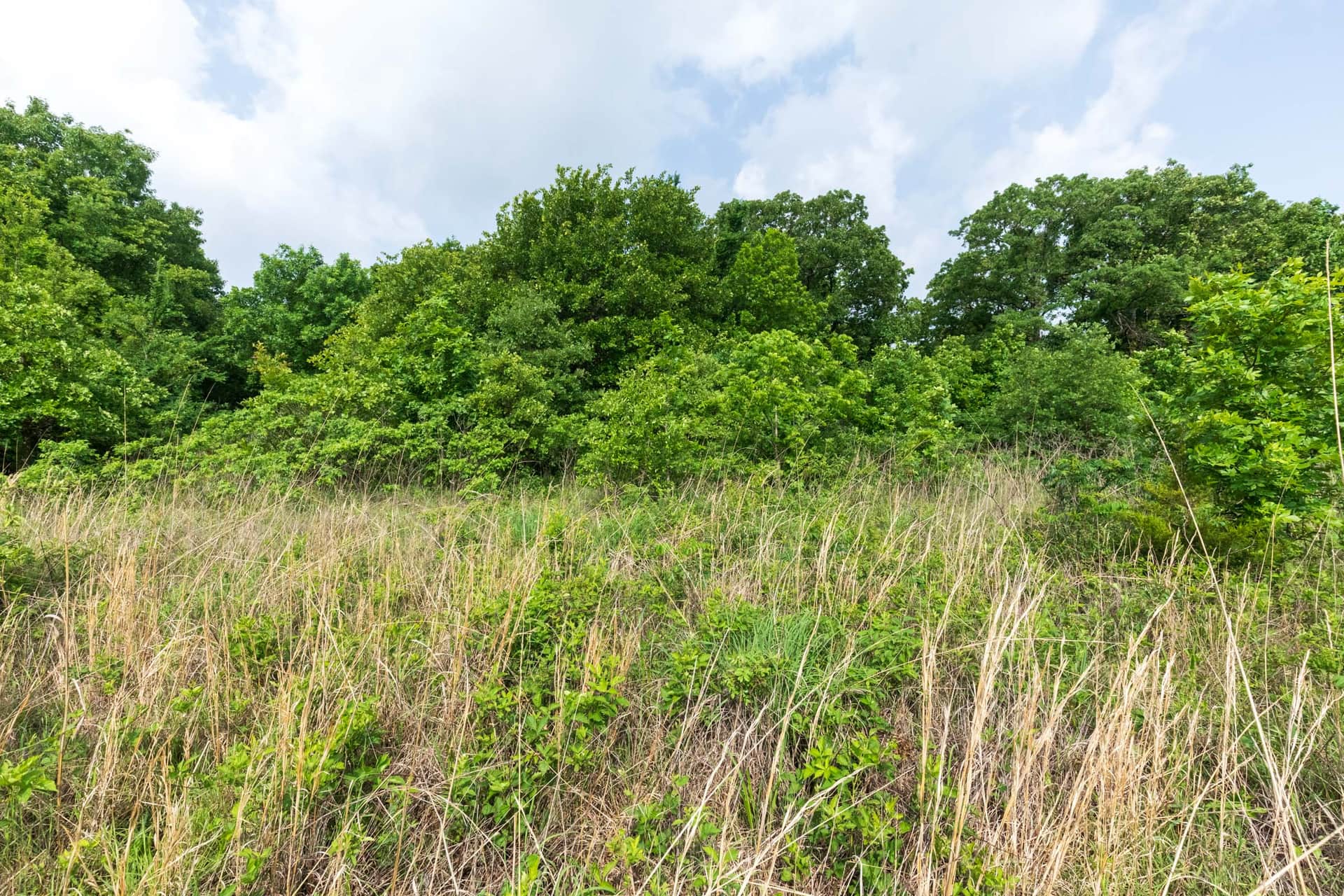 Starfield Acres, Tract 5, 5.18 acres in Lincoln County, Oklahoma (photo 1 of 17)