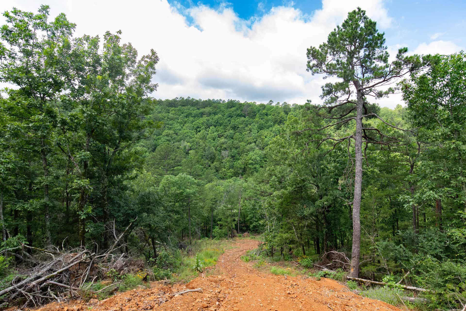 Stone Bridge, Phase 6 in Latimer County, Oklahoma (photo 1 of 23)